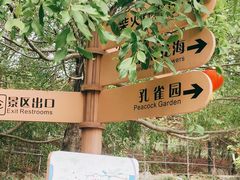 -丹樱生态园