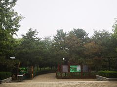 -古塔公园