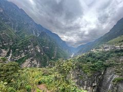 -草墩罗非鱼庄•野生菌•腊排骨(七星街上段店)