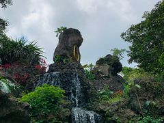 -海口火山口国家地质公园