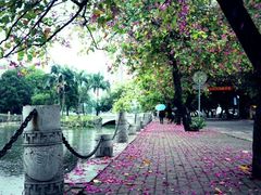 -广西大学(大学东路校区)