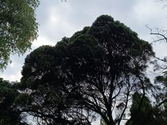 -都江堰景区