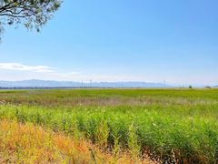 -野鸭湖国家湿地公园