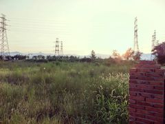 -永定河休闲森林公园