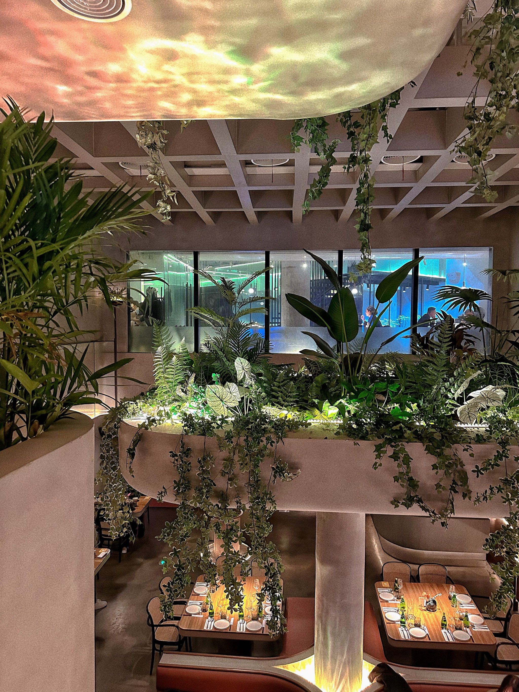 收藏已久02[爱心] 终于来到了这家室内绝美的空中花园餐厅94