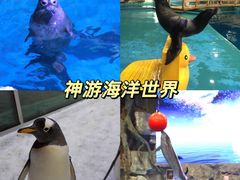 -威海华夏城景区