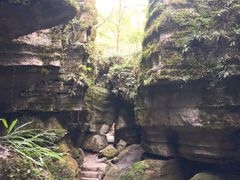 -梭布垭石林景区