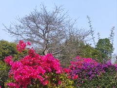 -烧烤佬(新基路店)