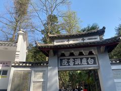 -白鹿洞书院