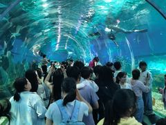 -海合安武汉极地海洋公园