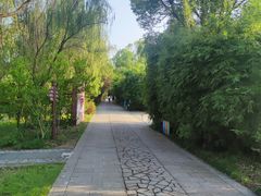 -苏州太湖国家湿地公园