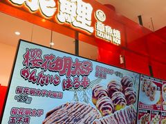 -泉鲤章鱼烧(互联宝地店)