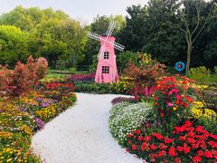 -上海共青森林公园