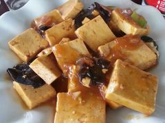 烧豆腐-特种渔场
