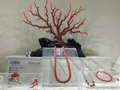 -安徽省地质博物馆