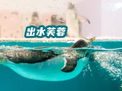 -正佳极地海洋世界