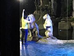 -清迈夜间动物园