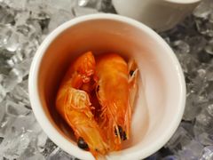 -白虎自助餐厅·真老虎·景观自助餐厅(广州长隆酒店)