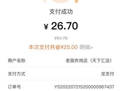-老苗炸鸡(天下汇国际购物中心店)