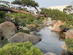 -罗红摄影艺术馆