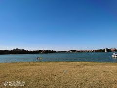 -仙湖旅游度假区