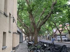 -老吉士酒家(天平路店)