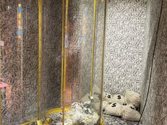 -不可思议减压馆·解压博物馆·摔碗发泄·团建定制