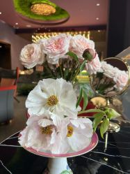 -花隐·美芙炫海菲秀皮肤管理中心