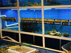 水产区-金龙·打边炉(南京西路店)