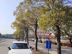 -胜华驾校·小猫学车(银都店)