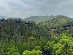 -莫干山风景区