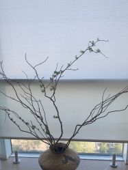 -阿噶西美甲美睫