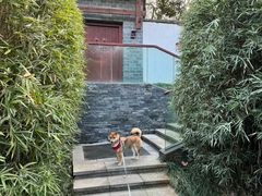 -深业半汤御泉庄温泉
