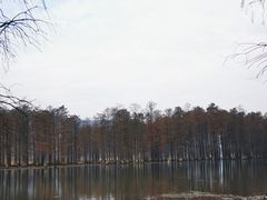 -四明山国家森林公园