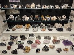 -墨尔本博物馆(Melbourne Museum)