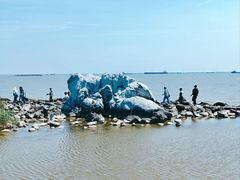 -上海吴淞炮台湾国家湿地公园