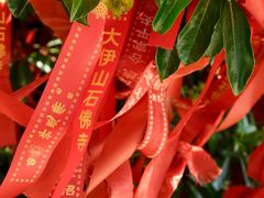 -大伊山景区