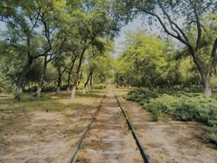 -永定河休闲森林公园