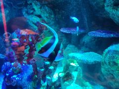 -沈阳海洋探索中心