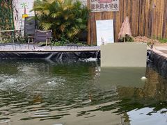 -DGE季风钓虾营地·团建·聚会