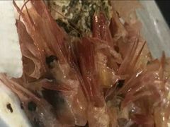 -小南房鲜美蛙火锅(北苑店)