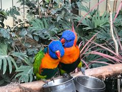 -南宫五洲植物乐园