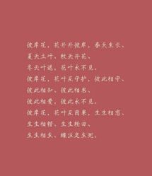 -众刺纹画·纹身·穿孔饰品·海娜定制