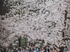 -浙江省杭州高级中学(贡院校区)