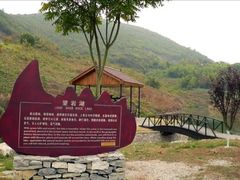 -金钉子远古世界景区