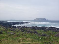 -涉地可支
