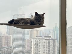 -Catmate·猫肥家润(金润铂宫店)