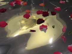 -御花园·粤菜·海鲜火锅(中山公园店)