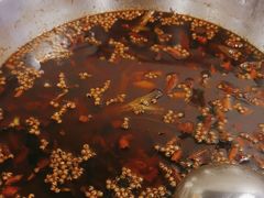 -味之绝热血美蛙鱼火锅(中坝店)