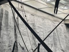 -武汉动物园